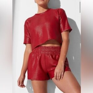 Active Set Noli Yoga LIQUID MESH SWIFT SHORT - CHERRY